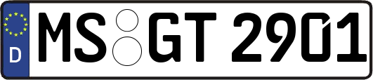 MS-GT2901