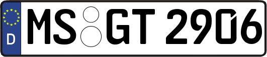 MS-GT2906