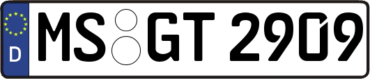 MS-GT2909