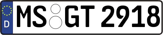 MS-GT2918