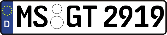 MS-GT2919