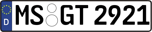 MS-GT2921