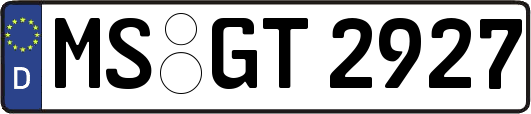 MS-GT2927