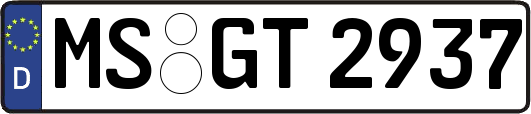 MS-GT2937