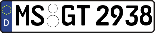 MS-GT2938