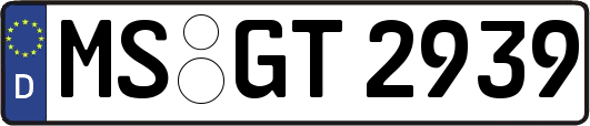 MS-GT2939