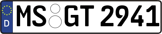MS-GT2941