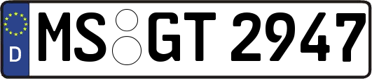 MS-GT2947