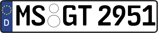 MS-GT2951