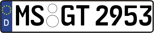 MS-GT2953