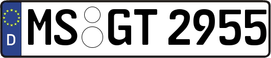 MS-GT2955