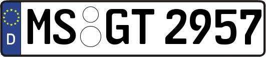 MS-GT2957