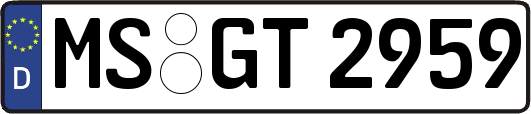 MS-GT2959