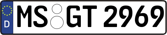 MS-GT2969