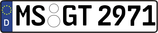 MS-GT2971