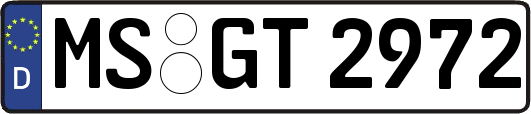 MS-GT2972