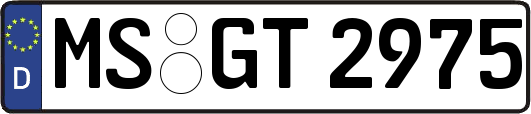 MS-GT2975