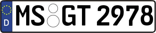 MS-GT2978