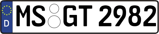 MS-GT2982