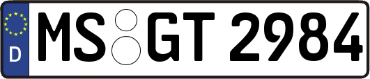 MS-GT2984