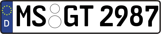 MS-GT2987