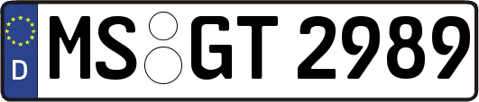 MS-GT2989