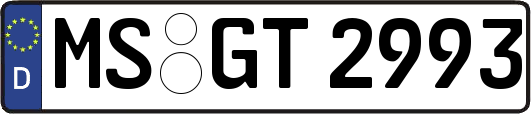MS-GT2993