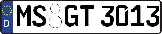 MS-GT3013