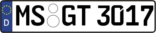 MS-GT3017