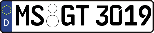MS-GT3019