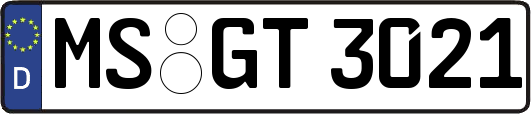 MS-GT3021