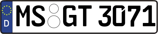 MS-GT3071