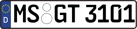 MS-GT3101