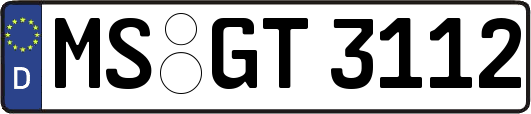 MS-GT3112