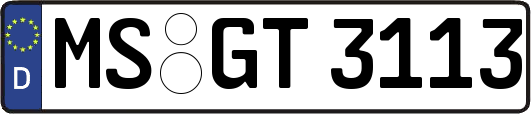 MS-GT3113