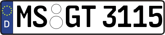 MS-GT3115