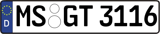 MS-GT3116