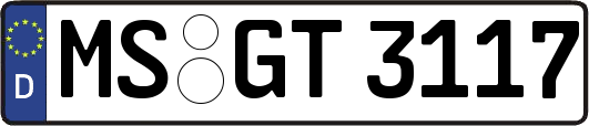 MS-GT3117