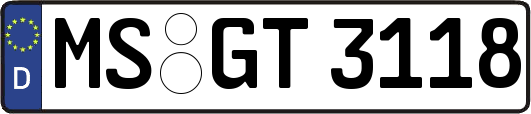 MS-GT3118