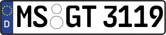 MS-GT3119