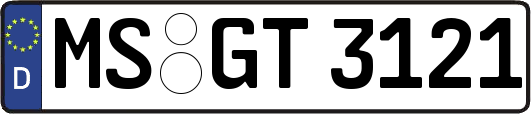MS-GT3121