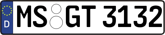 MS-GT3132