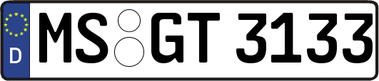 MS-GT3133