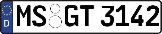MS-GT3142
