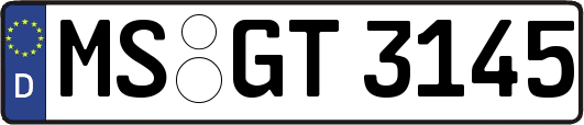 MS-GT3145