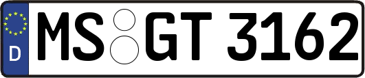 MS-GT3162