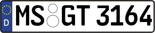 MS-GT3164