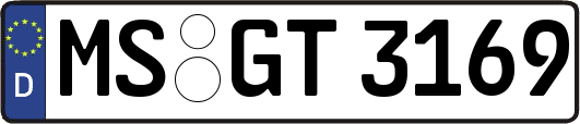 MS-GT3169