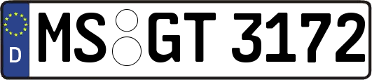 MS-GT3172