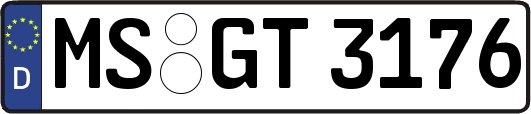 MS-GT3176